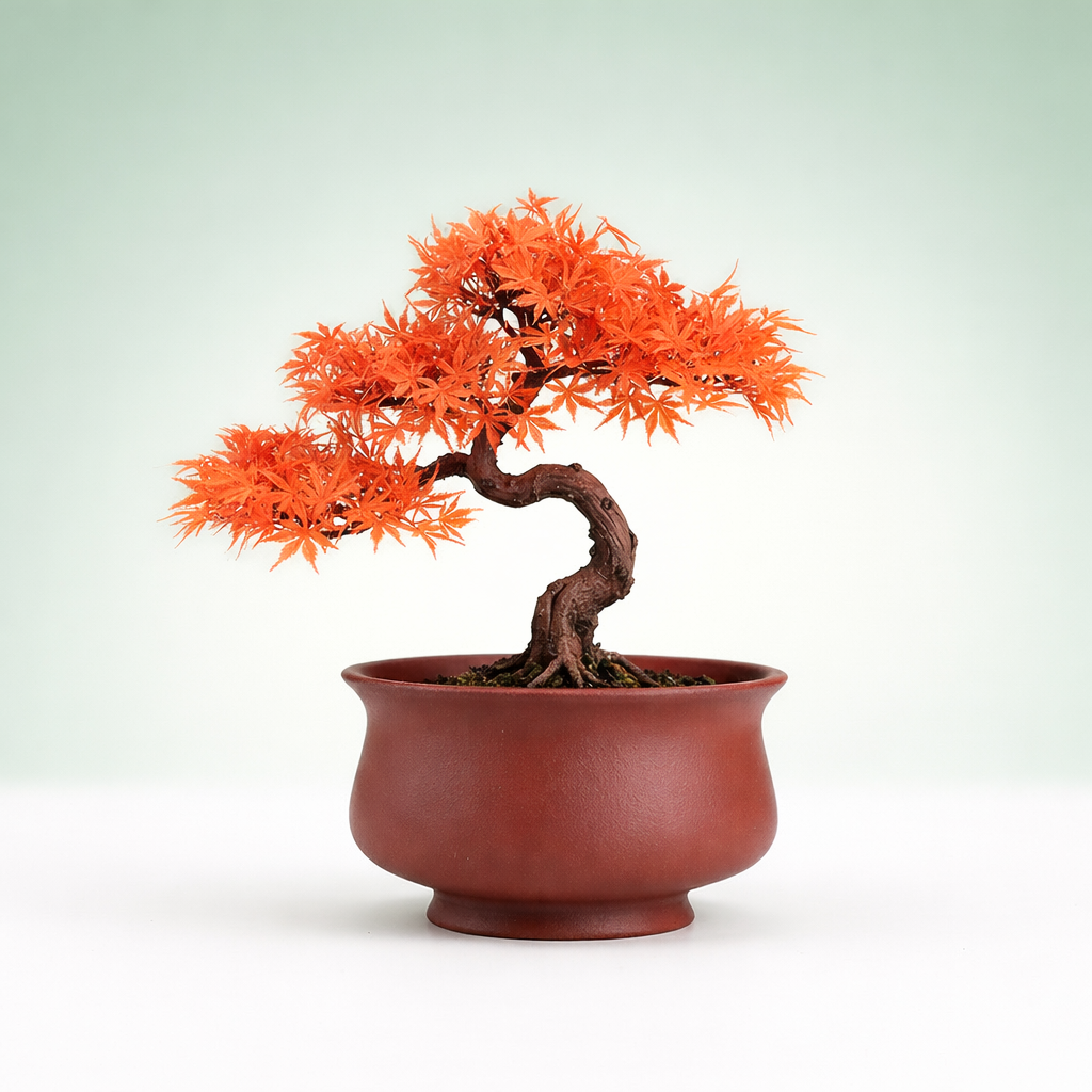 Maceta Bonsái Redonda Roja – Cerámica
